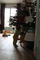 2013-12-27 Zelie en vadrouille, les frangins 006